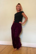 Load image into Gallery viewer, Velvet Jogger
