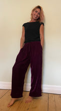 Load image into Gallery viewer, Velvet Jogger