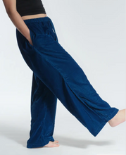 Load image into Gallery viewer, Velvet Jogger