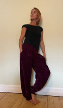 Load image into Gallery viewer, Emma's Emporium Winter Velvet Genie Trousers - New Colours