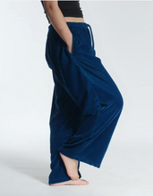 Load image into Gallery viewer, Velvet Jogger
