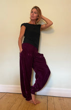 Load image into Gallery viewer, Emma's Emporium Winter Velvet Genie Trousers - New Colours
